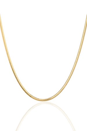 İnce Balık Sırtı Zincir Kolye