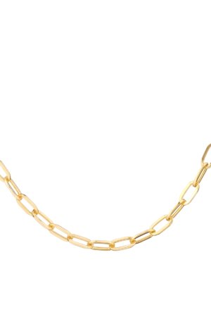 Minik Ataç Zincir Kolye